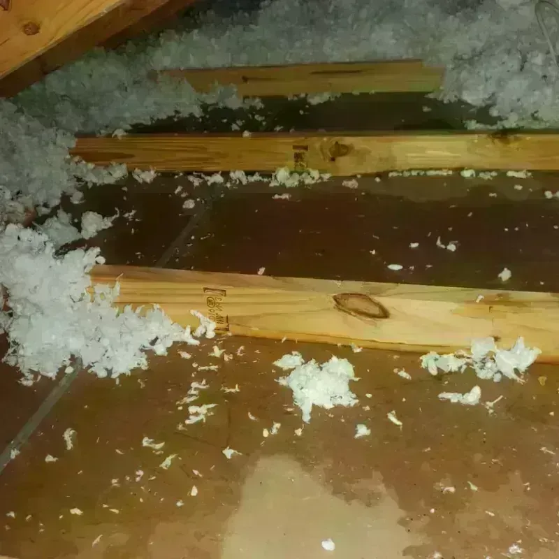 Attic Water Damage in Stanaford, WV